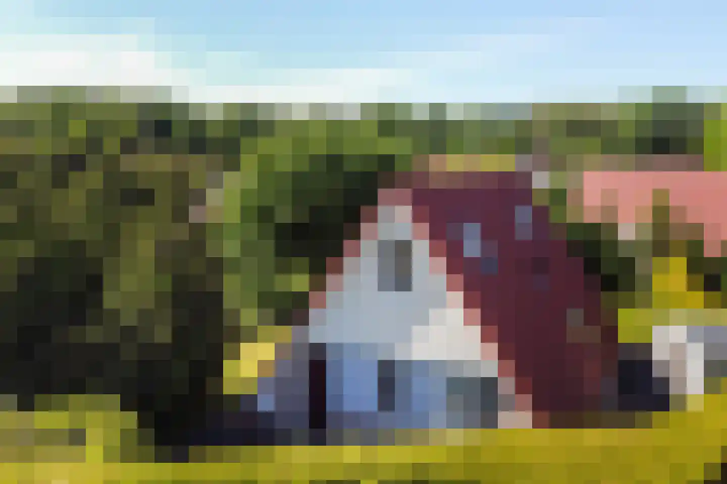 Het Zwiggelterveld 113 Zwiggelte thumbnail 33