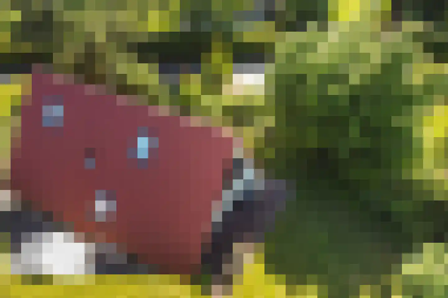 Het Zwiggelterveld 113 Zwiggelte thumbnail 34