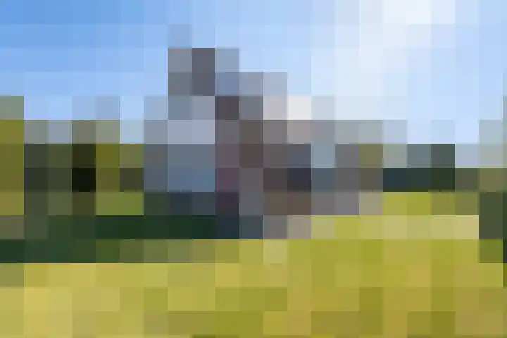 Het Zwiggelterveld 114 dans Zwiggelte