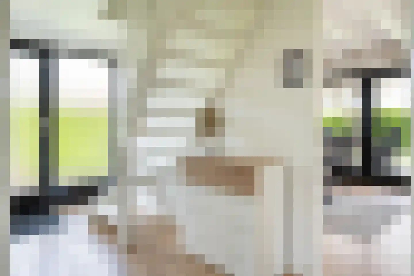 Het Zwiggelterveld 126 Zwiggelte thumbnail 14