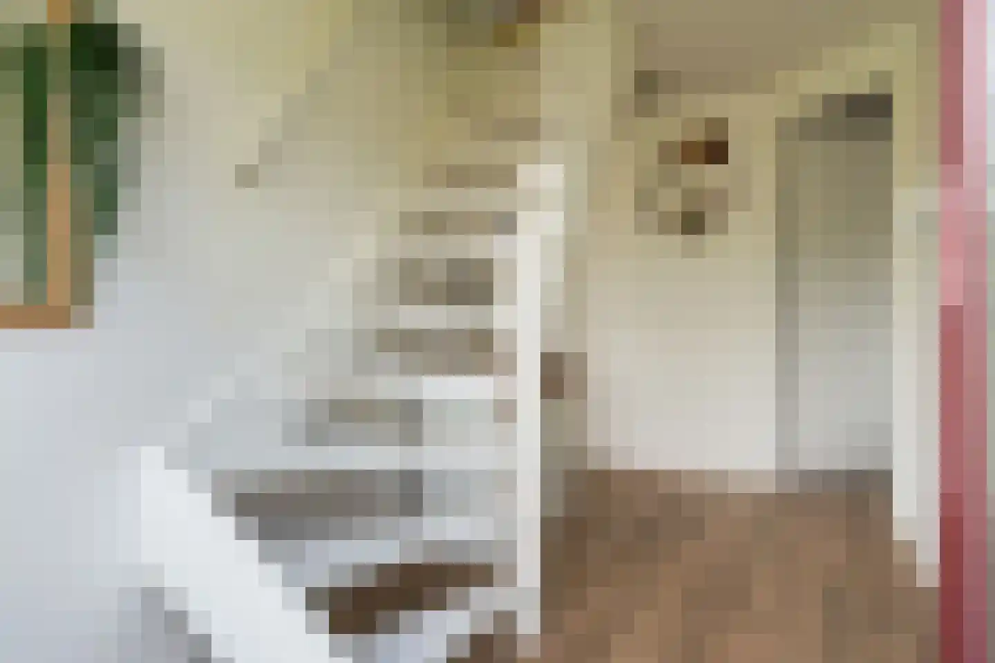 Het Zwiggelterveld 126 Zwiggelte thumbnail 15