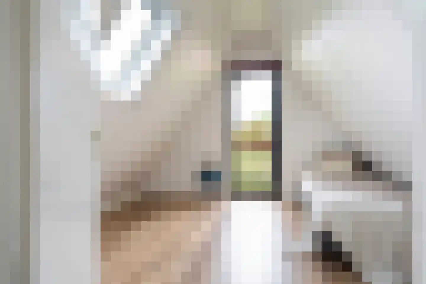 Het Zwiggelterveld 126 Zwiggelte thumbnail 16