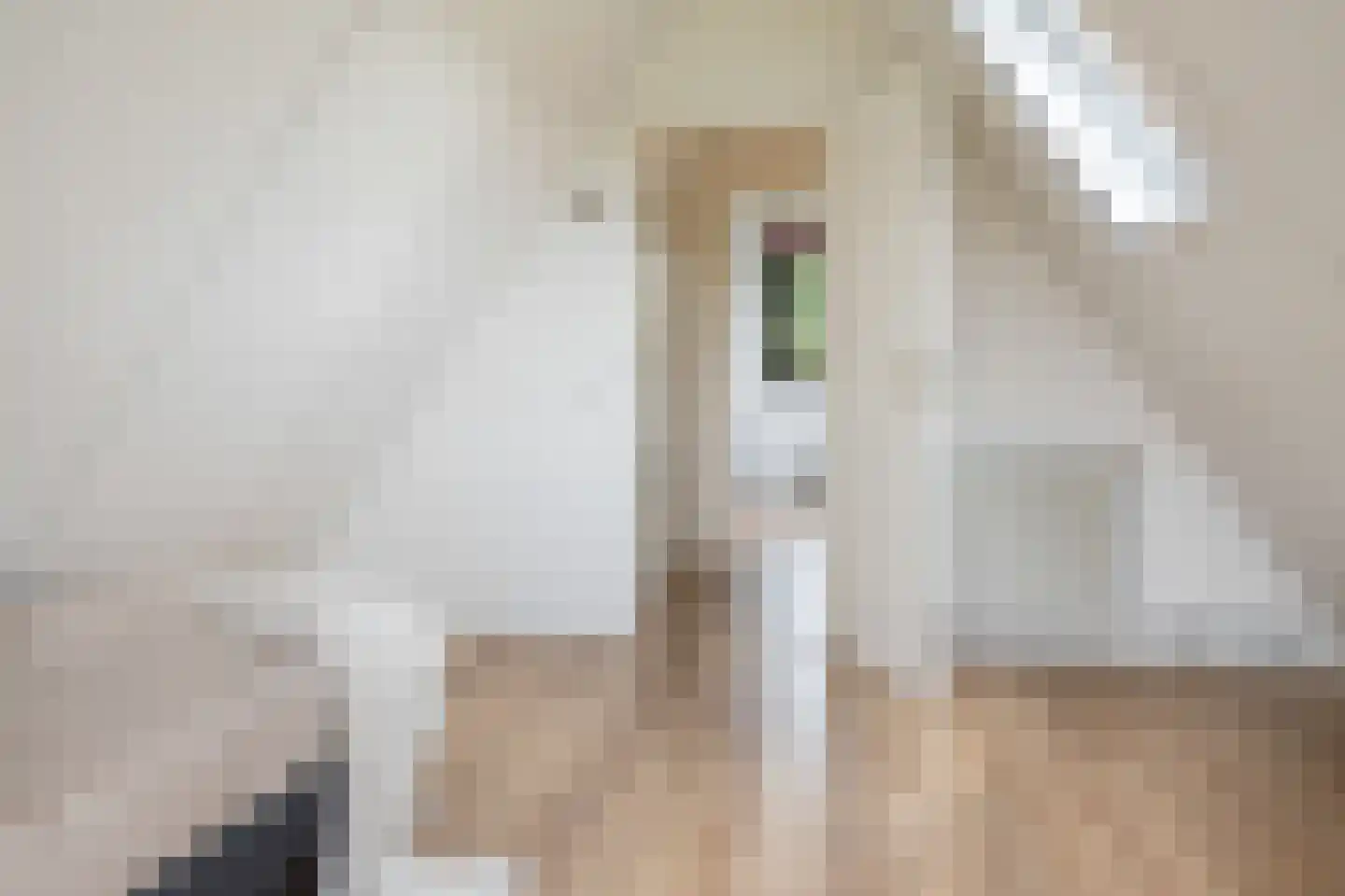 Het Zwiggelterveld 126 Zwiggelte thumbnail 18