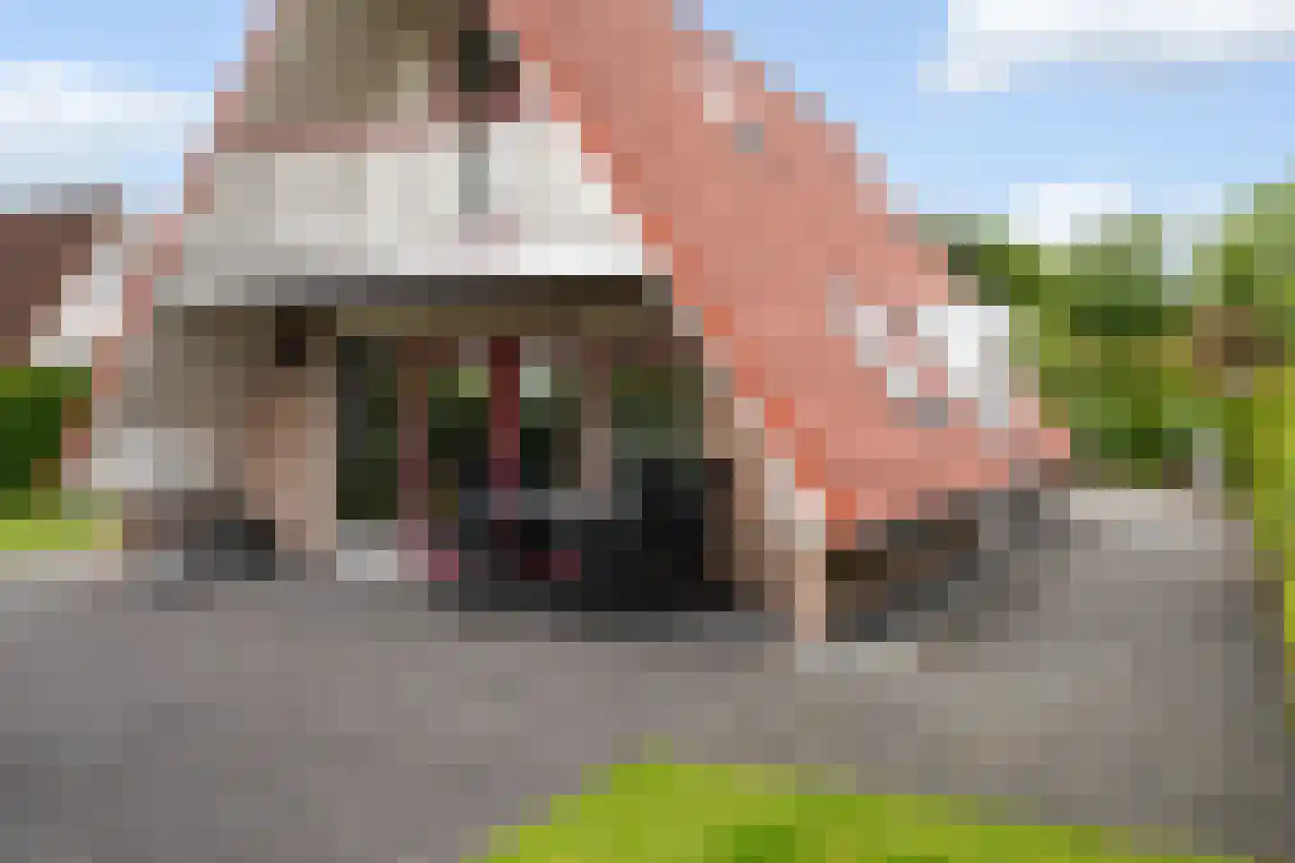 Het Zwiggelterveld 126 Zwiggelte thumbnail 25
