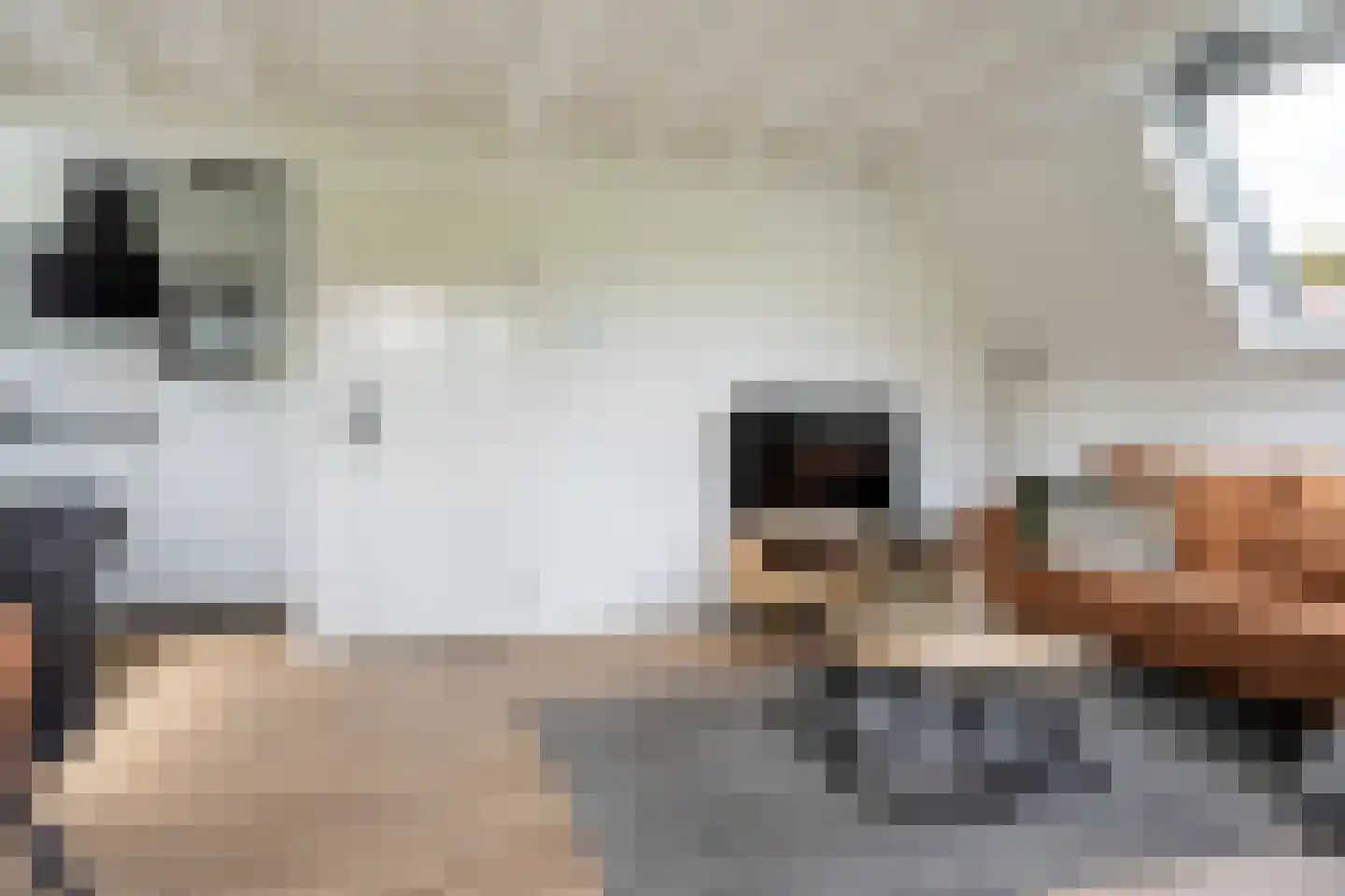 Het Zwiggelterveld 126 Zwiggelte thumbnail 4