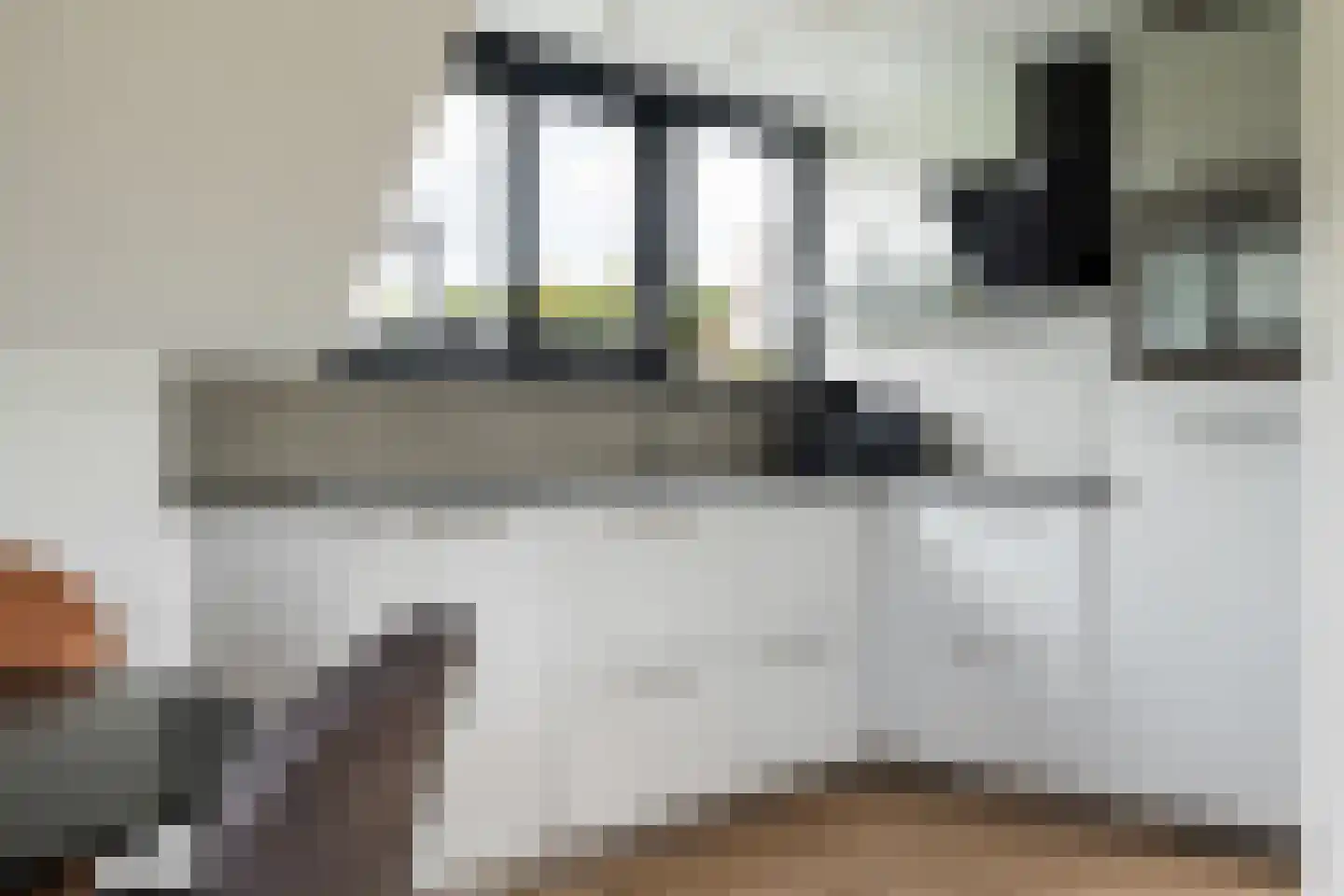 Het Zwiggelterveld 126 Zwiggelte thumbnail 7