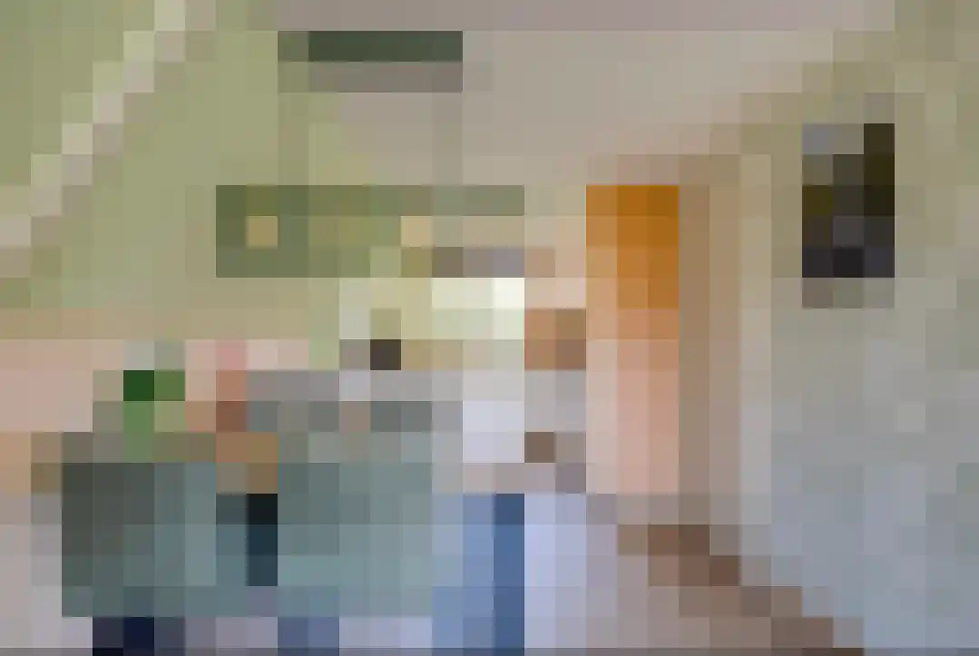 Het Zwiggelterveld 131 Zwiggelte thumbnail 12