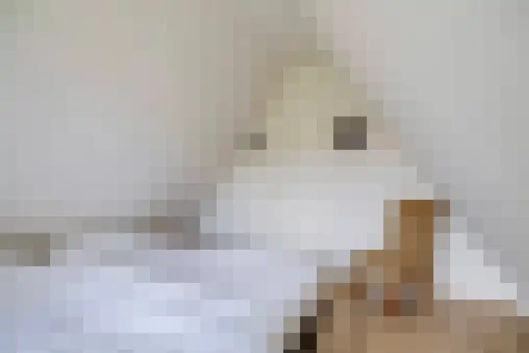 Het Zwiggelterveld 131 Zwiggelte thumbnail 18