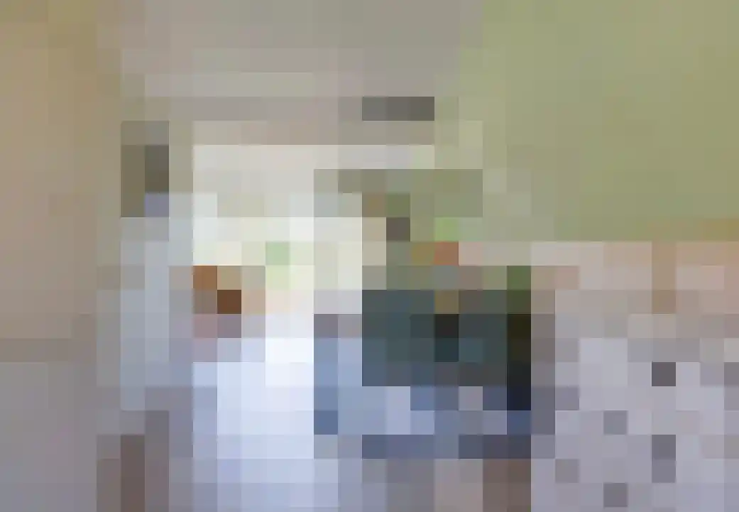 Het Zwiggelterveld 131 Zwiggelte thumbnail 19