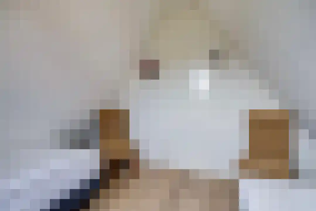 Het Zwiggelterveld 131 Zwiggelte thumbnail 29