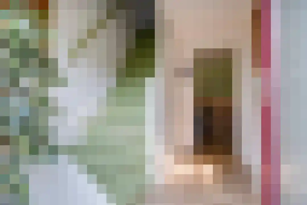 Het Zwiggelterveld 131 Zwiggelte thumbnail 34
