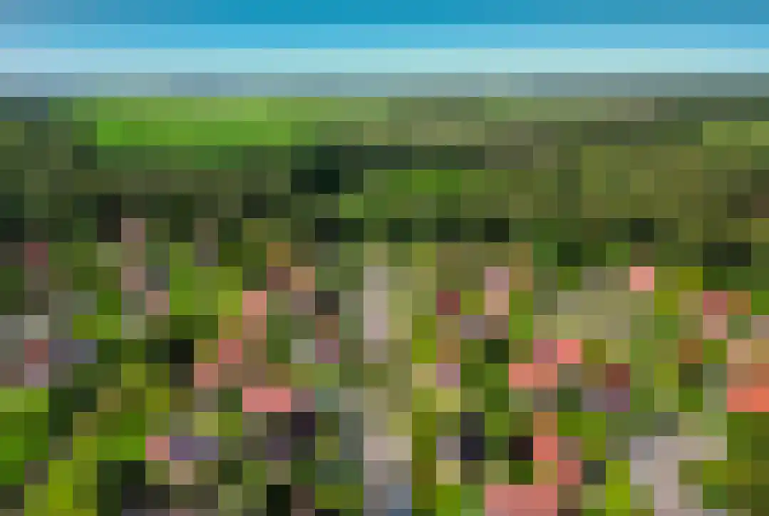 Het Zwiggelterveld 131 Zwiggelte thumbnail 37