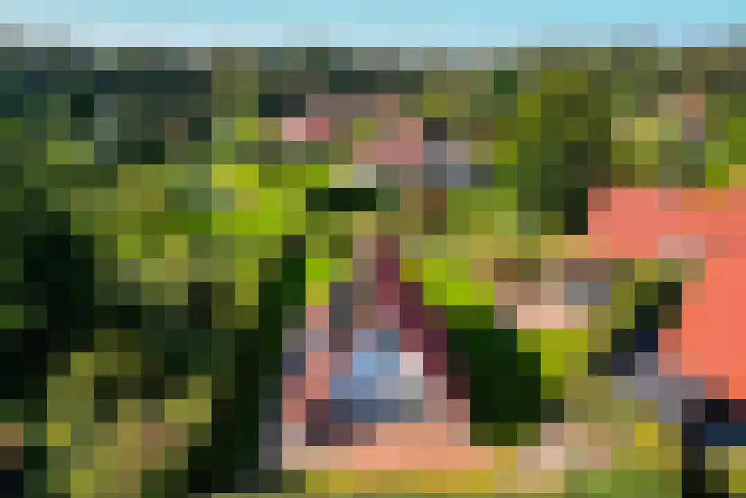 Het Zwiggelterveld 131 Zwiggelte thumbnail 38