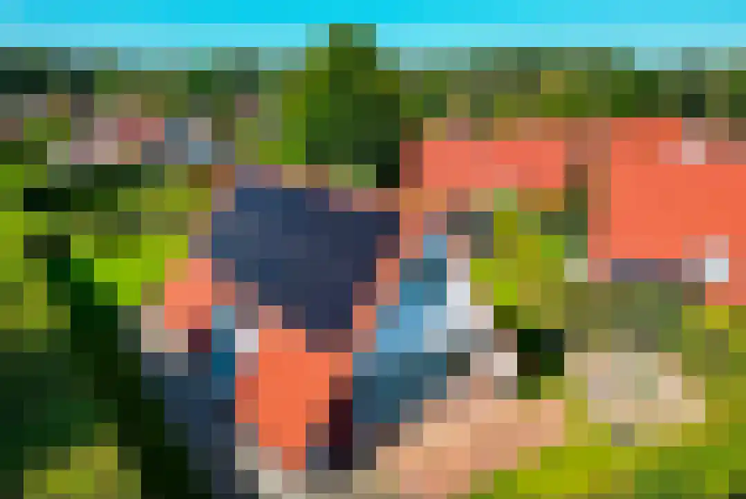 Het Zwiggelterveld 131 Zwiggelte thumbnail 39