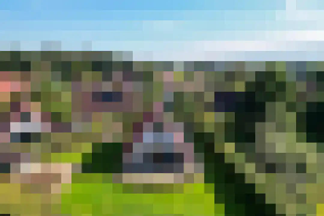 Het Zwiggelterveld 131 Zwiggelte thumbnail 40