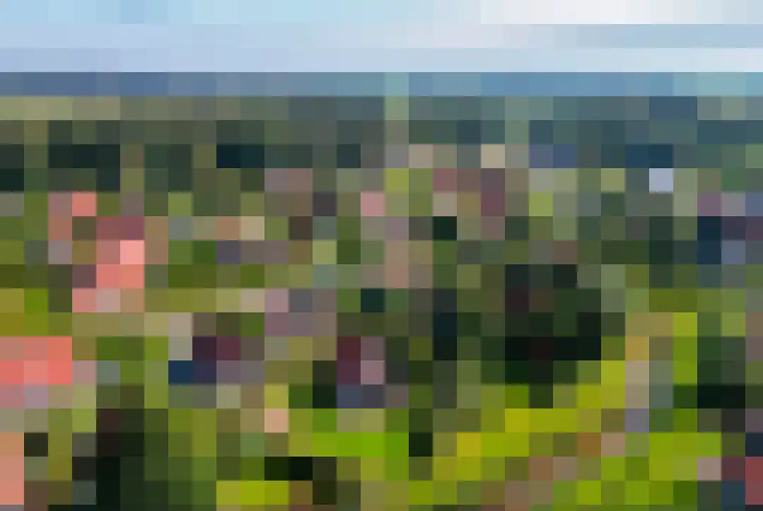 Het Zwiggelterveld 131 Zwiggelte thumbnail 42