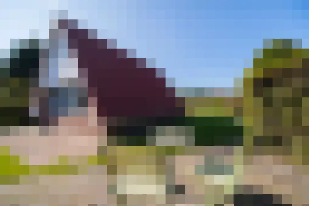 Het Zwiggelterveld 131 Zwiggelte thumbnail 44