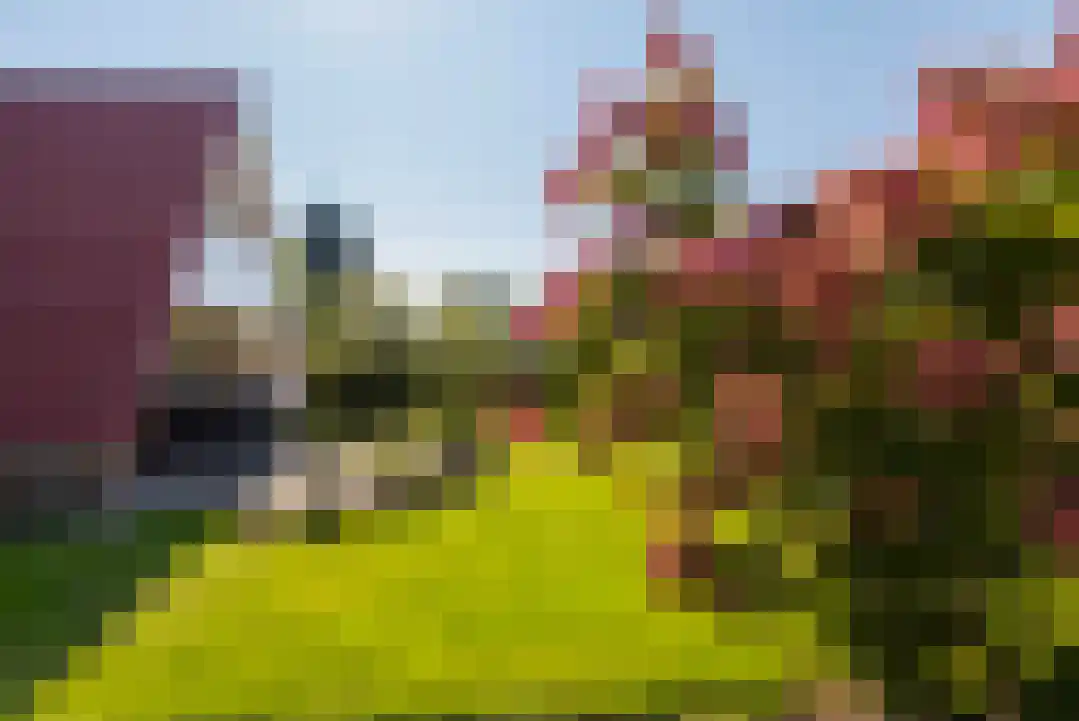 Het Zwiggelterveld 131 Zwiggelte thumbnail 47