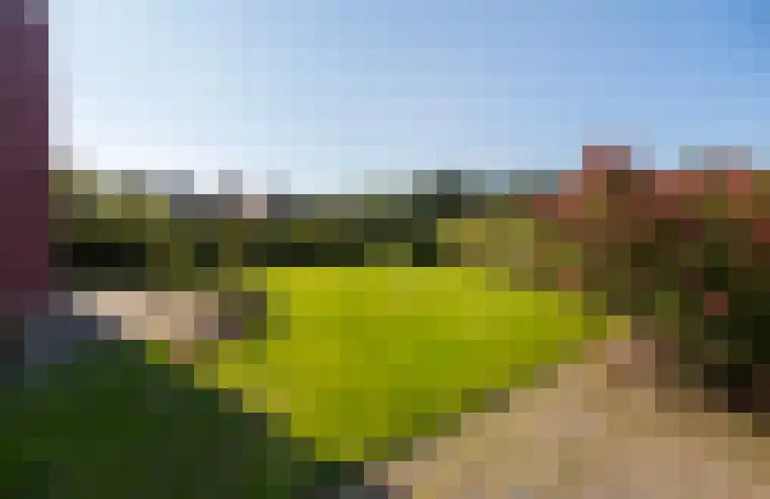 Het Zwiggelterveld 131 Zwiggelte thumbnail 48