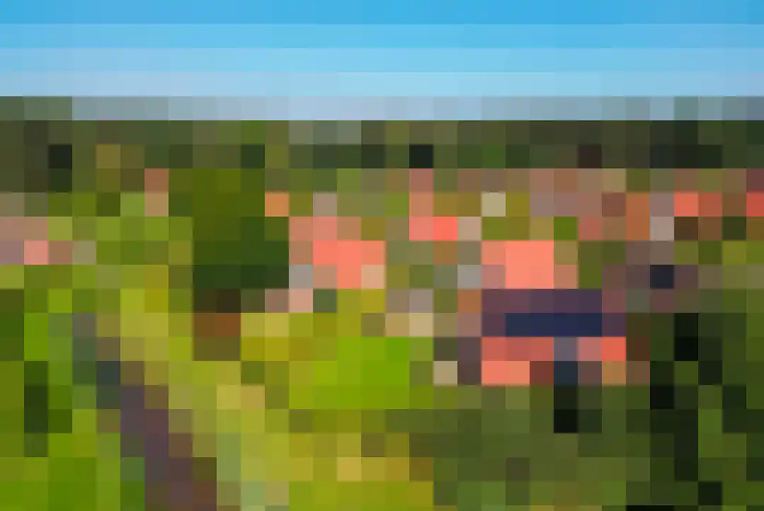 Het Zwiggelterveld 131 Zwiggelte thumbnail 49