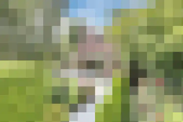 Het Zwiggelterveld 136 Zwiggelte