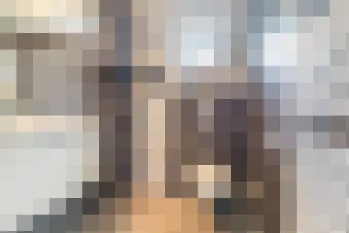 Het Zwiggelterveld 136 Zwiggelte thumbnail 13