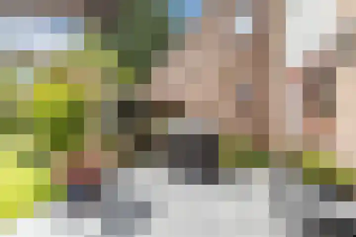 Het Zwiggelterveld 136 Zwiggelte thumbnail 25