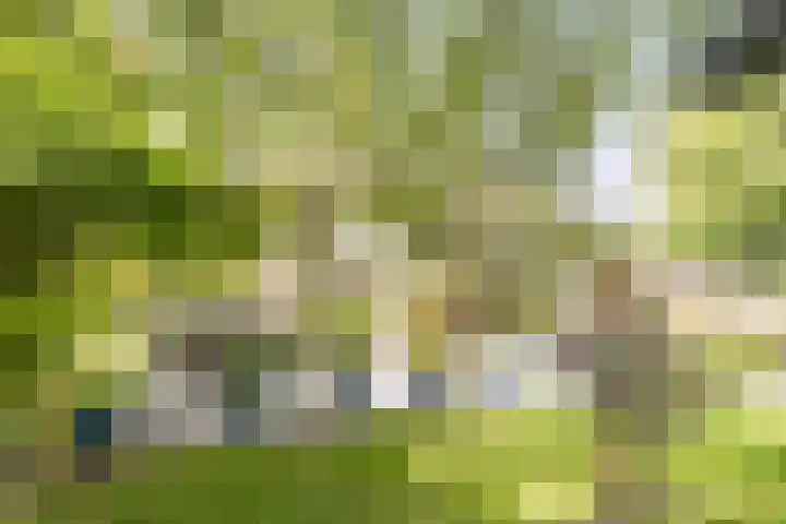 Het Zwiggelterveld 136 Zwiggelte thumbnail 27