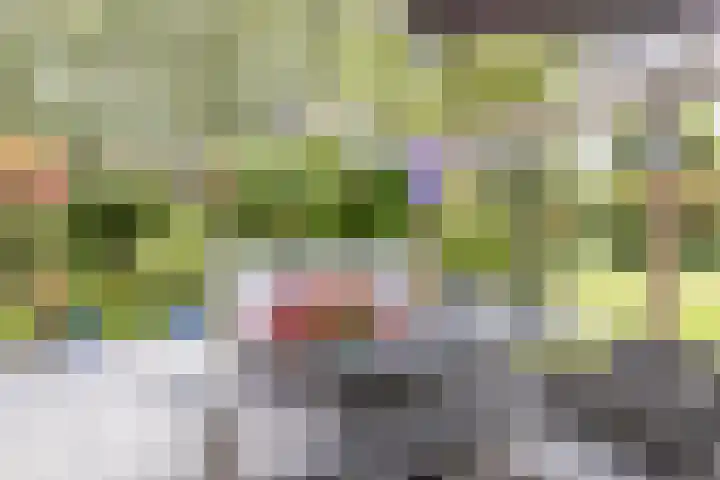 Het Zwiggelterveld 136 Zwiggelte thumbnail 28