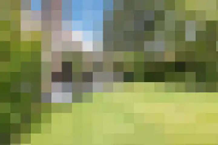 Het Zwiggelterveld 136 Zwiggelte thumbnail 29