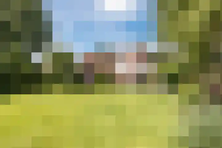Het Zwiggelterveld 136 Zwiggelte thumbnail 31