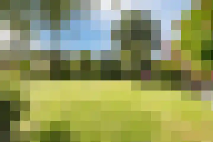 Het Zwiggelterveld 136 Zwiggelte thumbnail 32