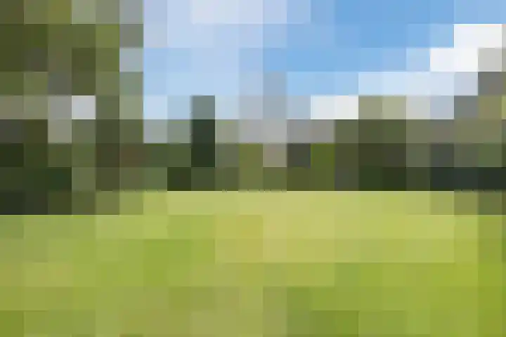 Het Zwiggelterveld 136 Zwiggelte thumbnail 33