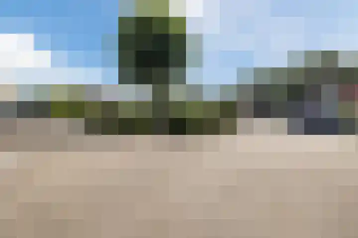 Het Zwiggelterveld 136 Zwiggelte thumbnail 34