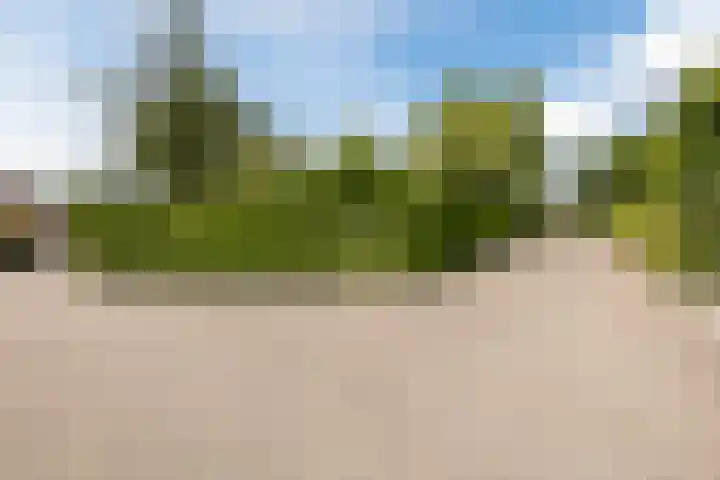 Het Zwiggelterveld 136 Zwiggelte thumbnail 35