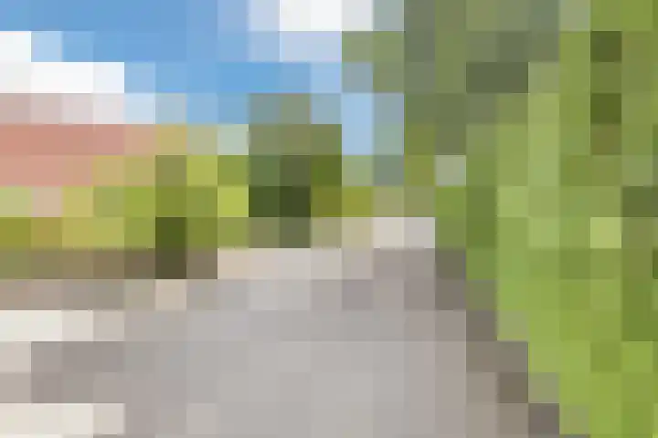 Het Zwiggelterveld 136 Zwiggelte thumbnail 36
