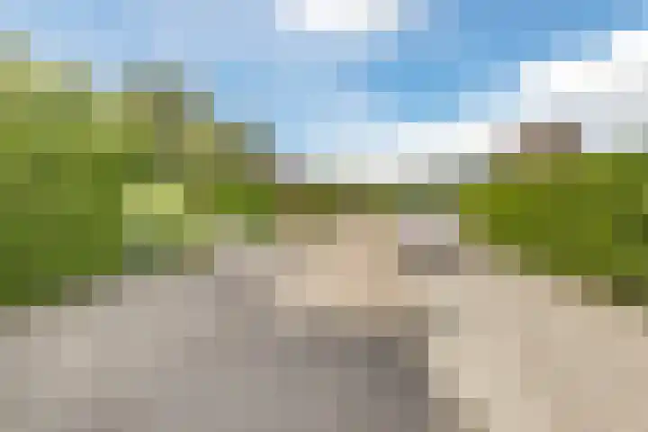 Het Zwiggelterveld 136 Zwiggelte thumbnail 37