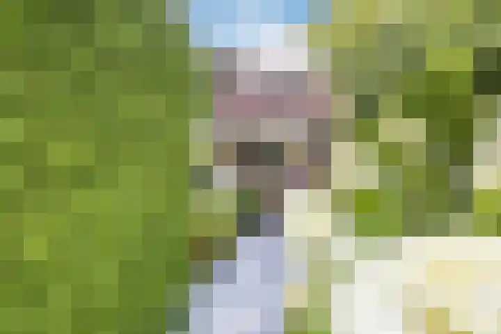 Het Zwiggelterveld 136 Zwiggelte thumbnail 4