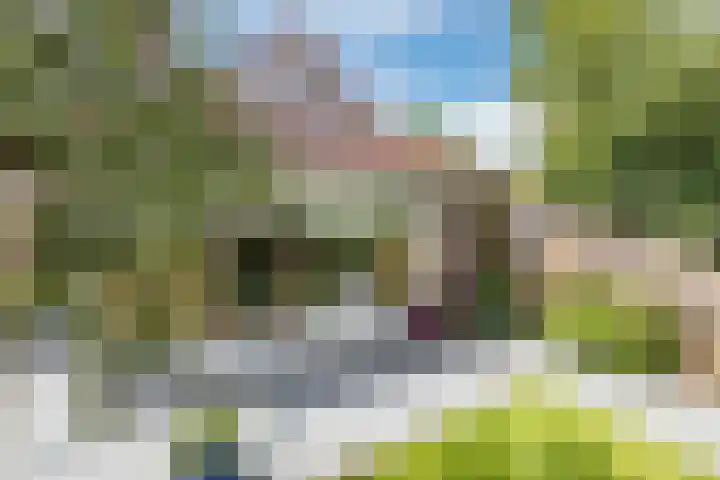 Het Zwiggelterveld 136 Zwiggelte thumbnail 5