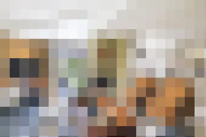 Het Zwiggelterveld 136 Zwiggelte thumbnail 6