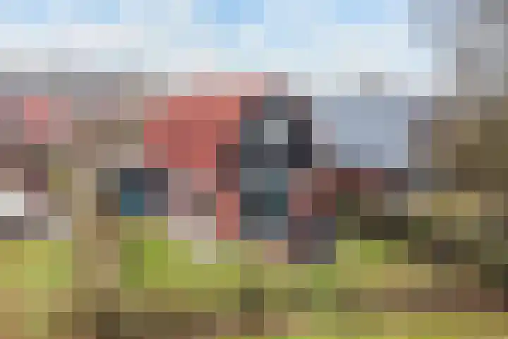 Het Zwiggelterveld 14 Zwiggelte