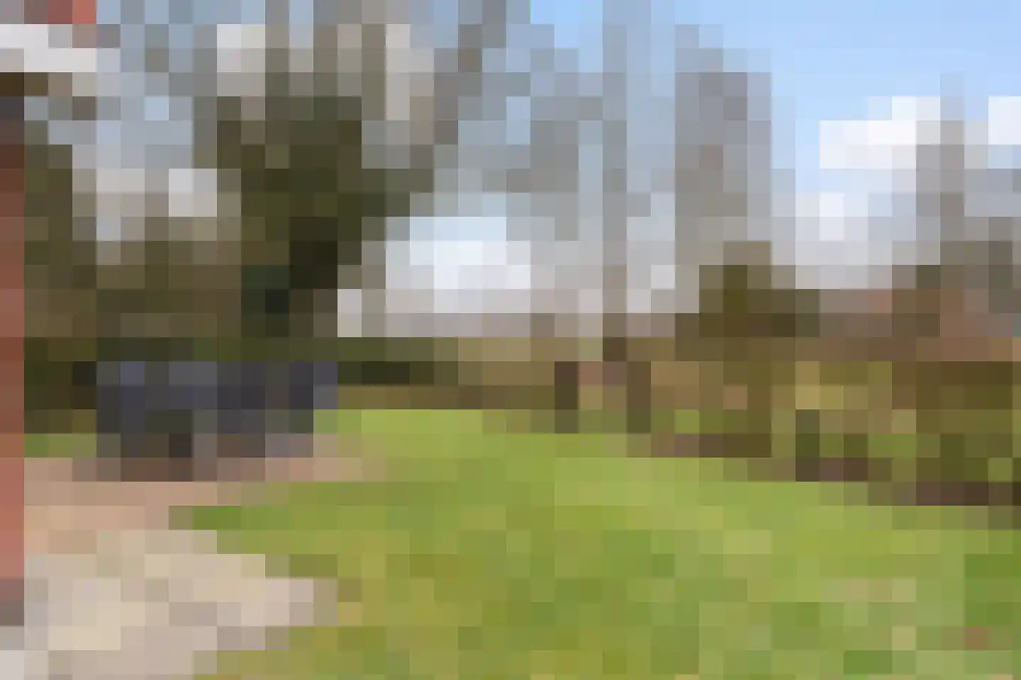 Het Zwiggelterveld 14 Zwiggelte foto 2