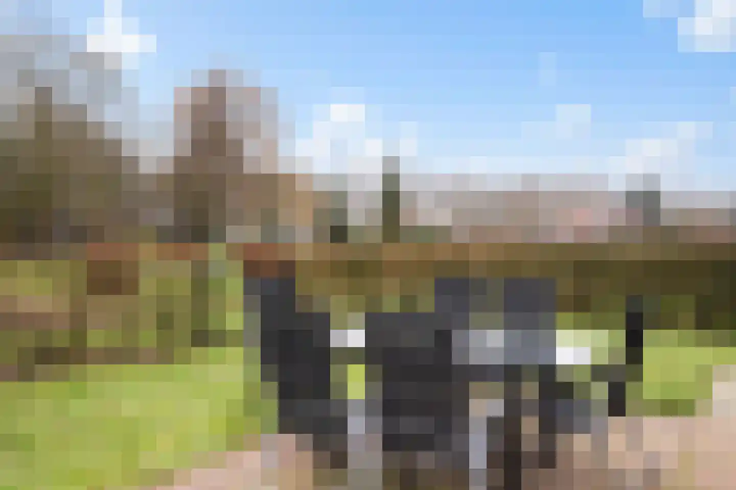 Het Zwiggelterveld 14 Zwiggelte thumbnail 26
