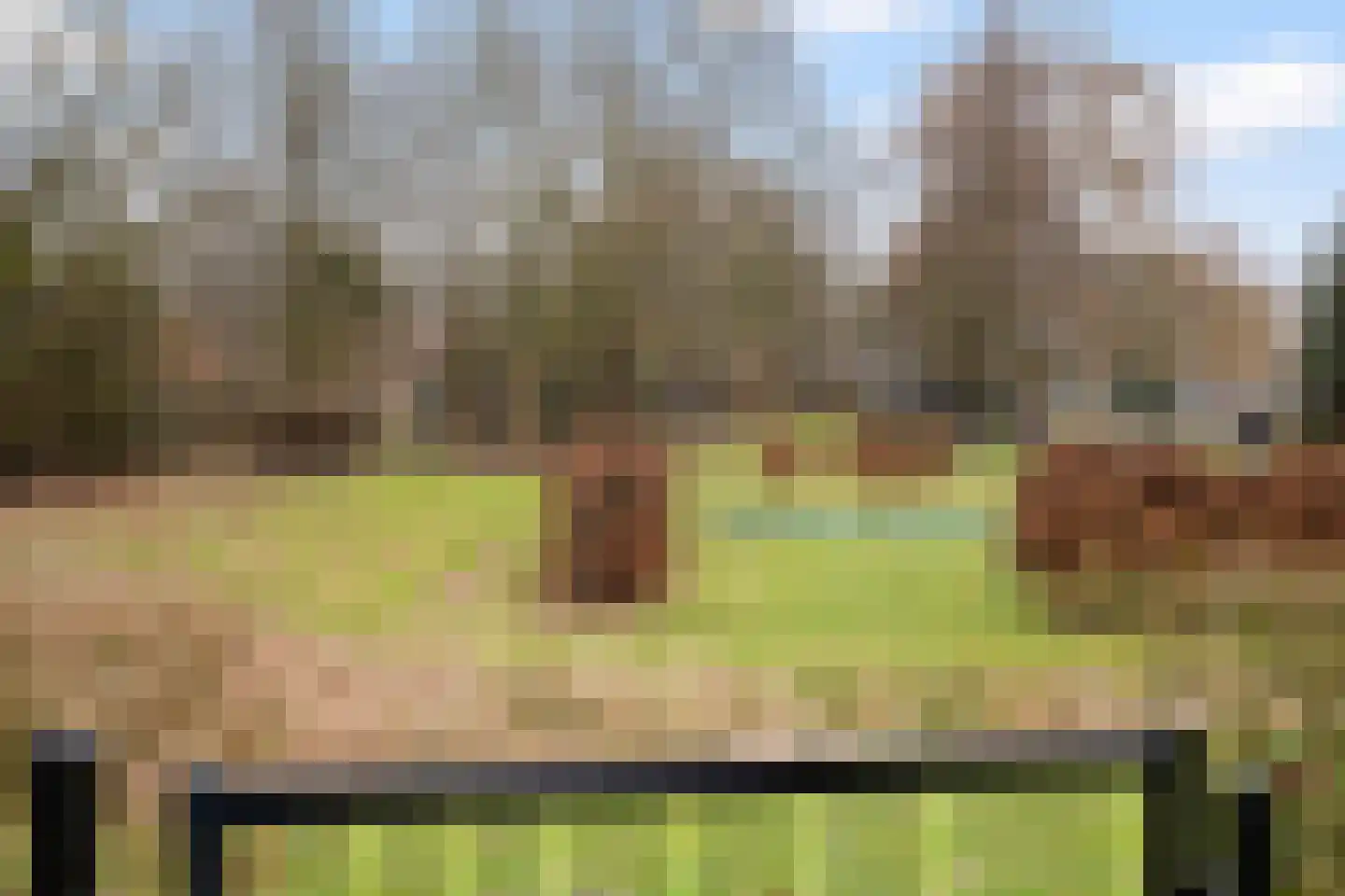 Het Zwiggelterveld 14 Zwiggelte thumbnail 29