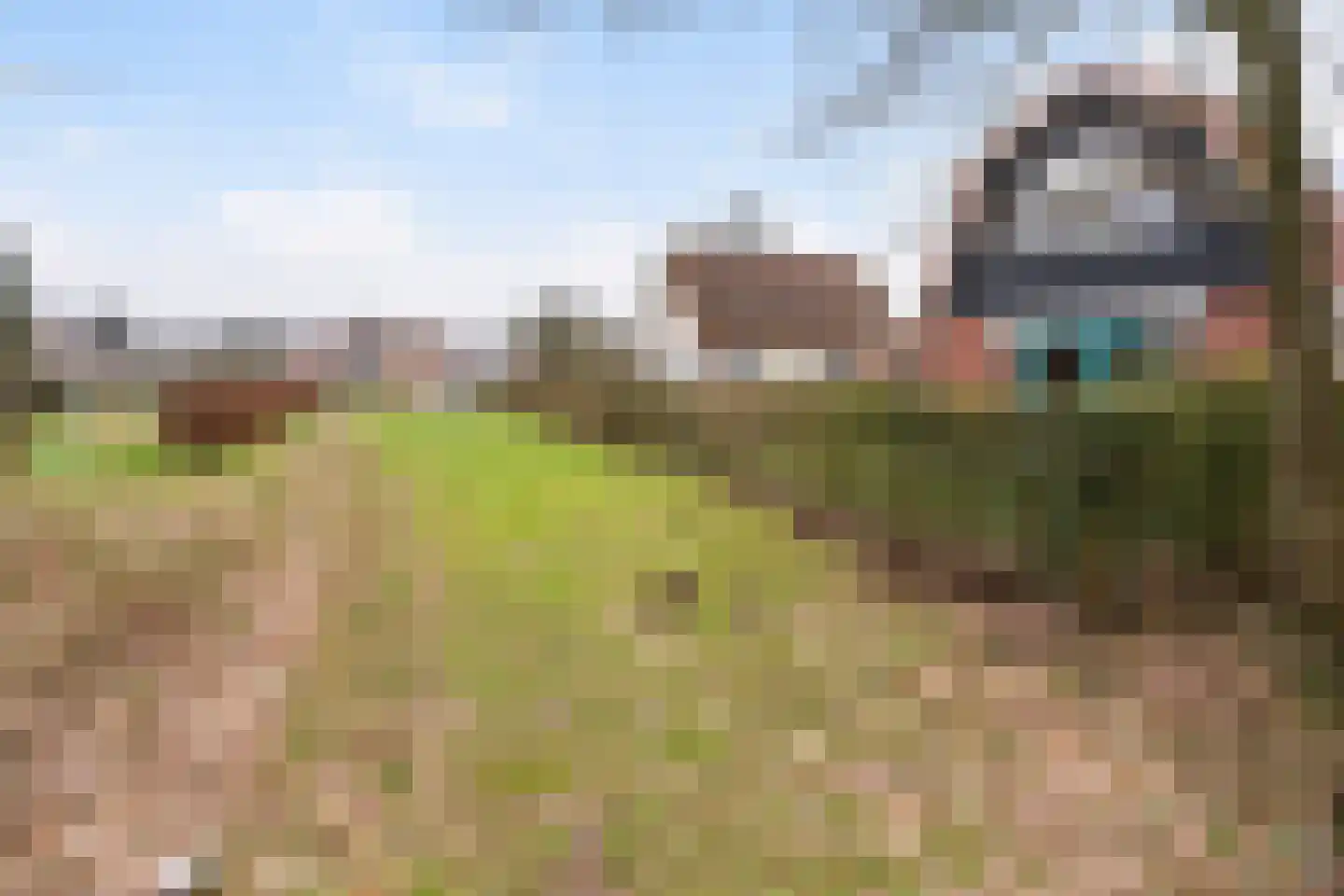 Het Zwiggelterveld 14 Zwiggelte thumbnail 32