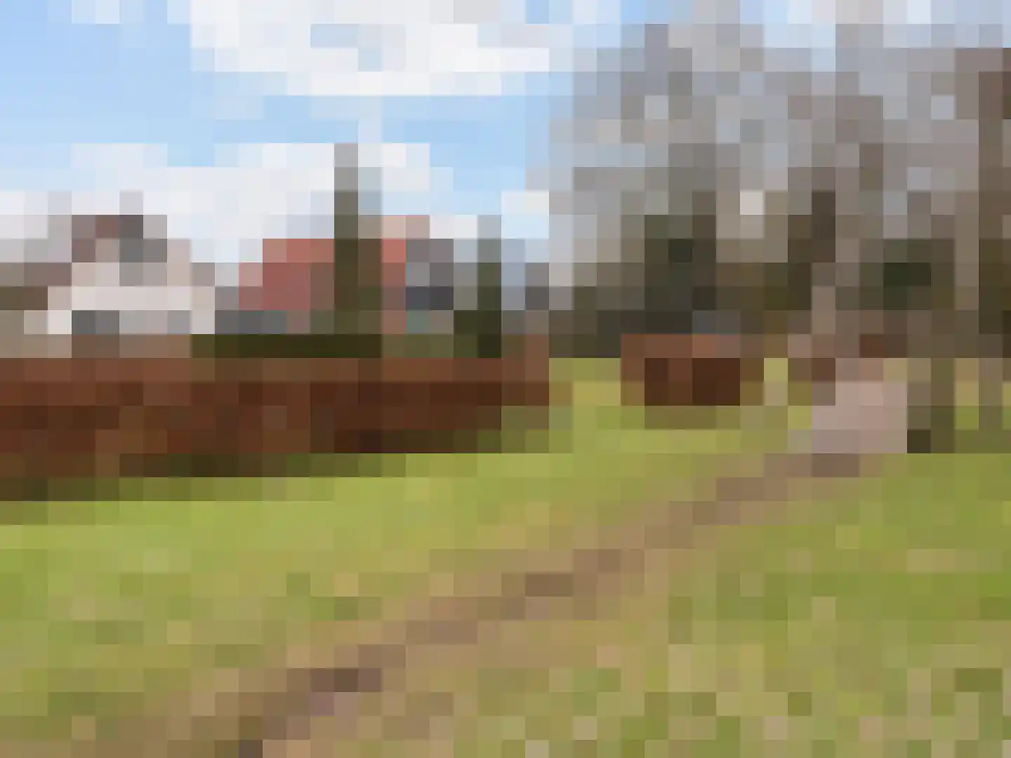 Het Zwiggelterveld 14 Zwiggelte thumbnail 34