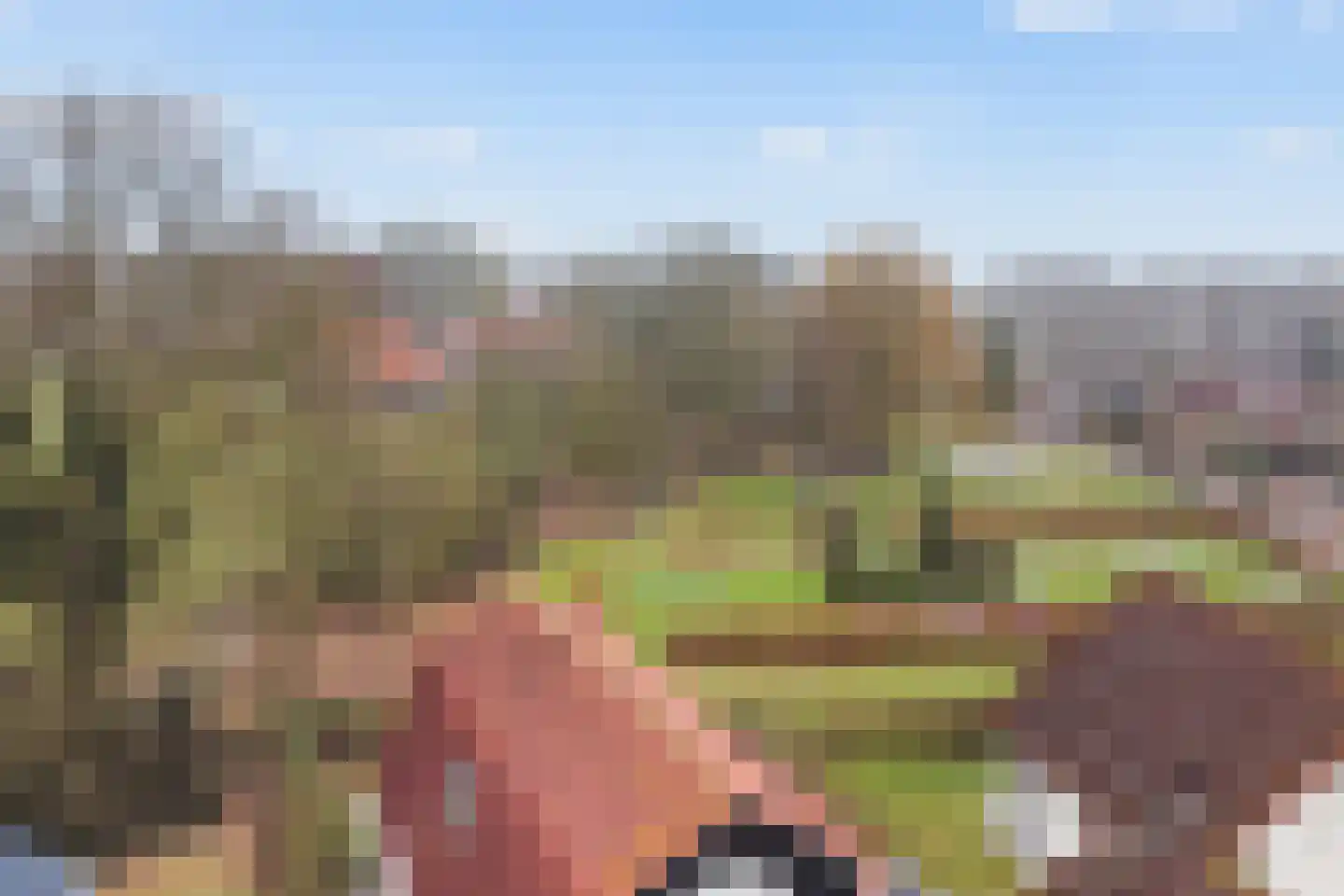 Het Zwiggelterveld 14 Zwiggelte thumbnail 35