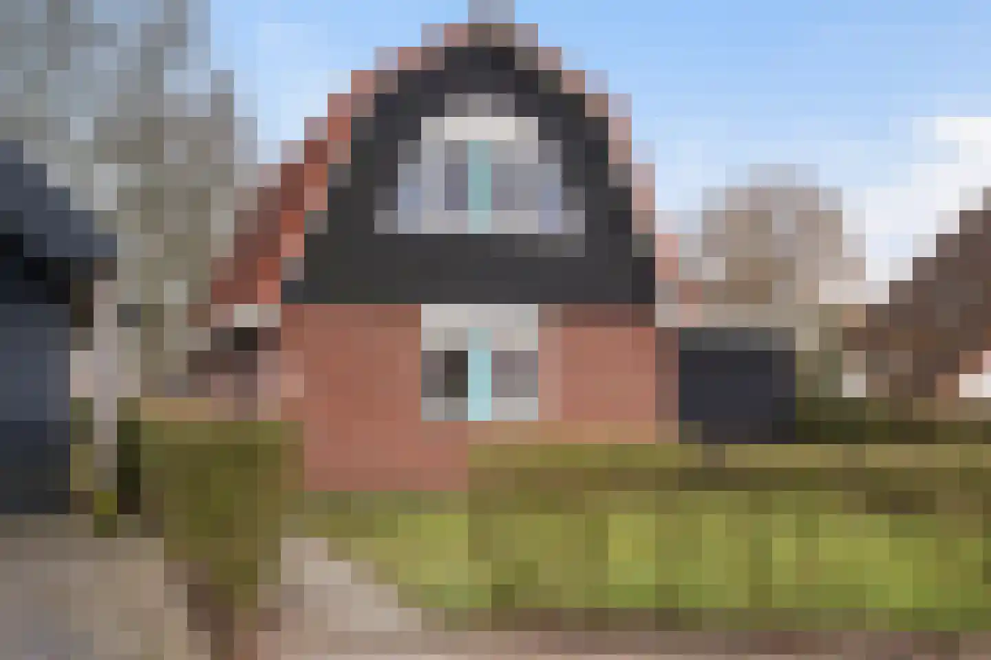 Het Zwiggelterveld 14 Zwiggelte thumbnail 36