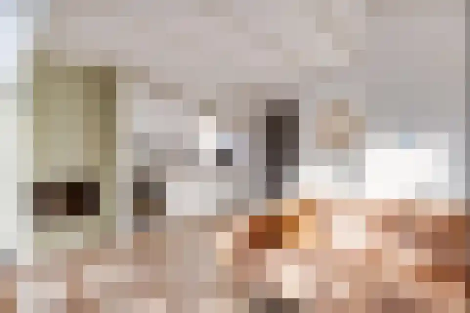 Het Zwiggelterveld 140 Zwiggelte thumbnail 17