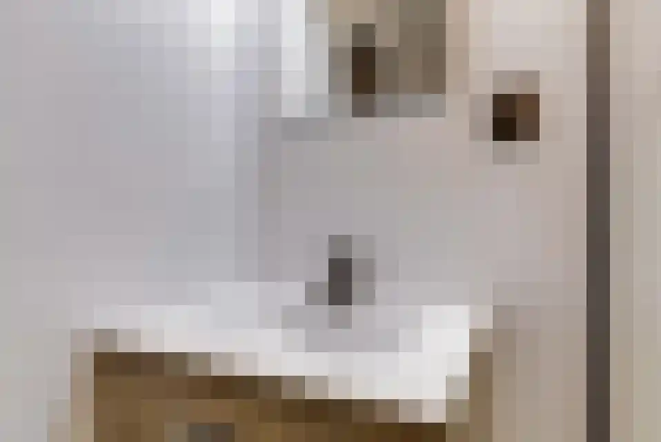 Het Zwiggelterveld 140 Zwiggelte thumbnail 23